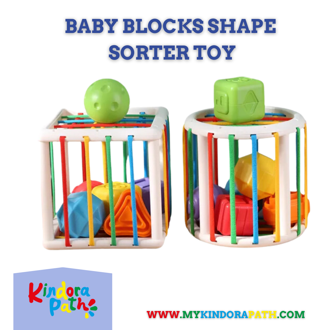 Baby Blocks Shape Sorter Toy